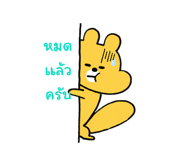 562091677