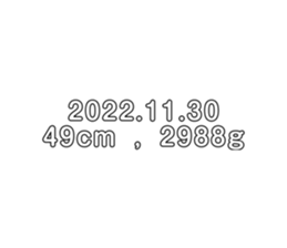 562098581