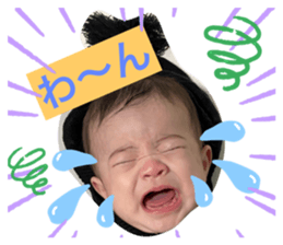 562115538