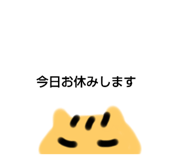 562121249