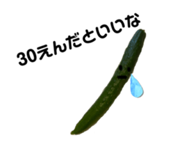 562156354
