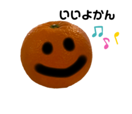 562156357