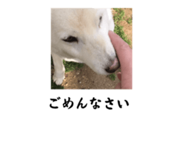 562192633