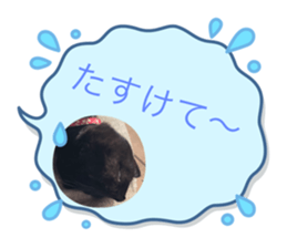 562202511