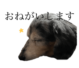 562229380