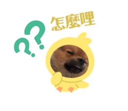 562261513