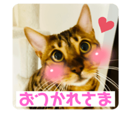 562272899