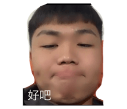 562288666