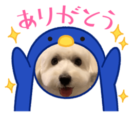 562291582