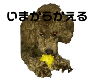 562299862