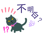 562302129