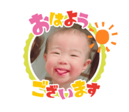 562320294