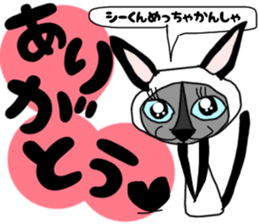 562330542