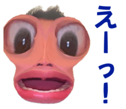 562349817