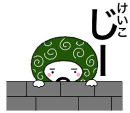 56243426