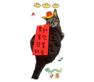 562442564