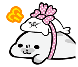 562444