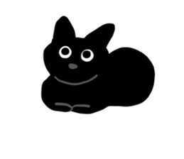 562444649