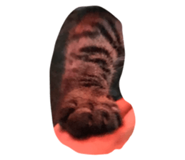 562459897