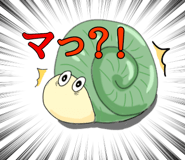 562469371