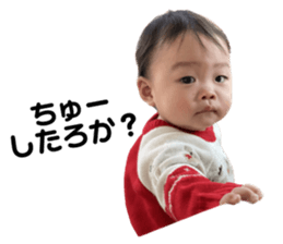 562487445
