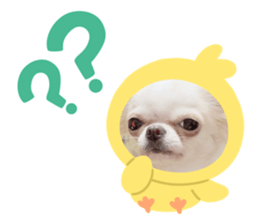 562496310