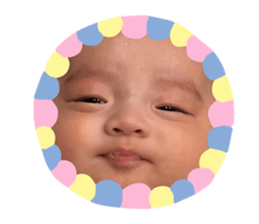 562504566