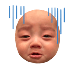 562504569