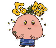 562504654