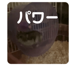 562518205