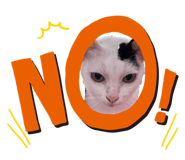 562524063
