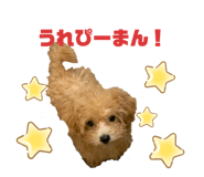 562550942