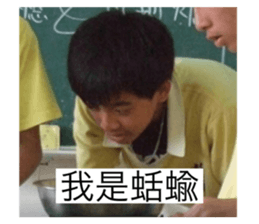 562559291