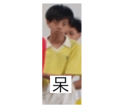 562559293