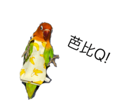 562559779