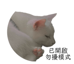 562577201