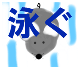 562585527