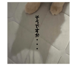562638226