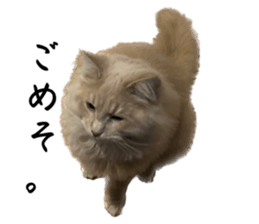 562638235