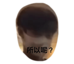 562639311