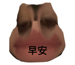 562639314