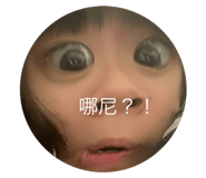 562640231