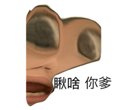 562640232