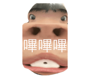 562640233