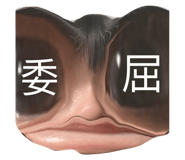 562640234