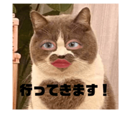562646249