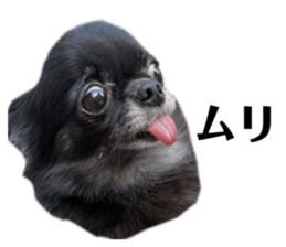 562651197