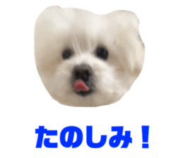 562678355