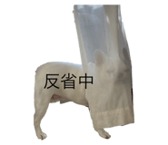 562678449