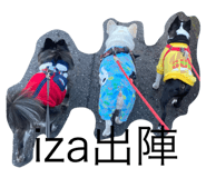 562678452